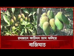 ১ আমবাগানেই ২৫ লাখ লাভের আশা | Chapainawabganj | Mango garden | Somoy TV