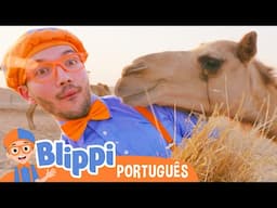 Blippi Explora o Deserto de Camelo! | Blippi em Português | Vídeos Educativos para Crianças