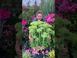 Some of our Favorite Perennials for Fresh Cut Flower Bouquets #gardening #garden