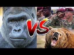 Animal Versus Debating (100 Men vs 1 Gorilla)