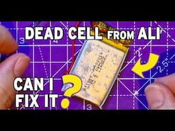 Can I resurrect this dead lithium cell?  Dead Batteries Society
