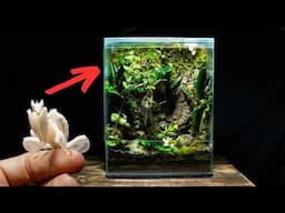 300 Days Ago I Made An Ecosystem For a Praying Mantis, This Happened!