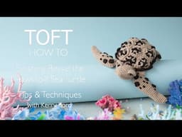 Finishing Bessie the Hawksbill Sea Turtle