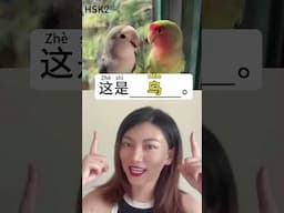 How do you say these animals in Chinese? #hsk #learnchinese #狗 #猫 #chinesewords #inchinese