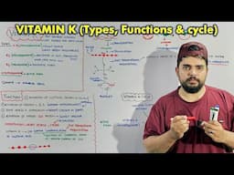Vitamin K Explained | Functions, Types, and Vitamin K Cycle