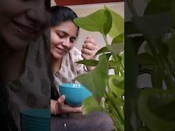 Sabudane se drink bhi ban sakta  @nephroplusdialysiscentres9493