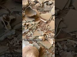Sudan's National Museum once held close to 100,000 artifacts. Now it's virtually empty
