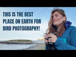 This is the BEST place on Earth for bird photography! 🌎 📸