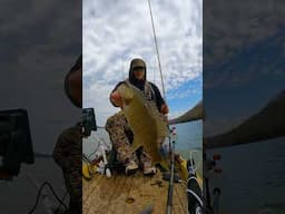 How to Win a Fishing Tournament #shorts