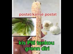 tretman natirel pou kansè postat/postat /kis nan ovè ki tankou grenn diri kay medam yo(nouvo Remed)