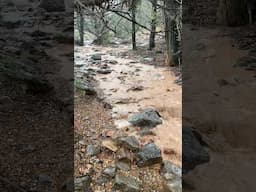 N. Arizona Check Dams Water Harvesting 🤘💧🌲