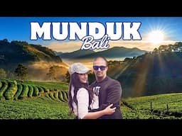 Explore Munduk 🌄 Bali 2025 | Camaradvipa Retreat Munduk | Waroeng Glory Pizza 🍕