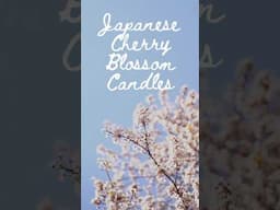 Cherry Blossom Season 🌸 #candlemaking #fragrance #floral #diycrafts