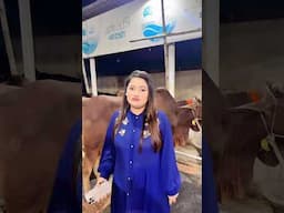 অন্তরা কুরবানির গরু কিনে ফেললো 🐮 | Qurbanir Gorur Haat 2025 #shorts