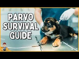 What every puppy owner needs to know about BEATING deadly parvovirus (vet explains)