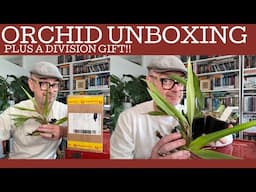 Orchid unboxing! Plus....I've been given a Coelogyne division!!