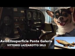 AvioElisuperficie Ponte Galeria Vittorio Lazzarotto srls