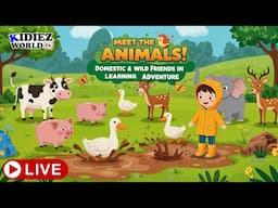 Meet the Animals! Domestic and Wild Friends in Muddy Learning live Adventure