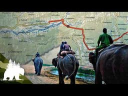 Mahout: The Epic 300-Mile Elephant Trek | Adventure Documentary