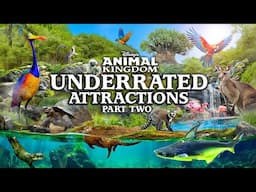 Zoo Tours: Disney World's Underrated Attractions | PART TWO