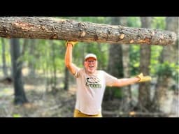 Firewood Season Already? Off-Grid Living in the Woods.
