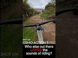 I LOVE the sounds of riding my mtb #mtb #djiosmoactioncamera #asmr