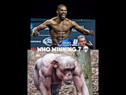 Jon Jones vs Chimpanzee 💀