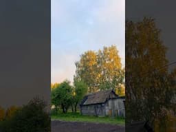 The setting sun and the birds were something magical that evening ✨#belarus #aftertherain #birds