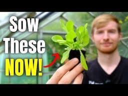 Don't Miss Out! Sow These Now For Massive Winter Harvests!