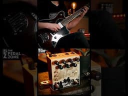 Swelling Delay | @oldbloodnoise Black Fountain #stereo #effects #guitar #thepedalzone #oil #delay