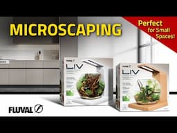 Small Spaces, Big Beauty: Discover the World of Microscaping