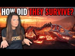 How Did Some Animals Survive The Biggest Extinction Event Ever?