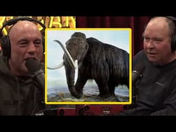 Joe Rogan: SECRET BONEYARD Location With Tons Of WOLLY MAMMOTH TUSKS Revealed?