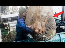 Fisherman Finds a Strange Creature in His Net - He Rushes To Shore When He Finds Out What It Is
