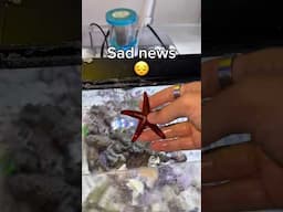 RIP :(