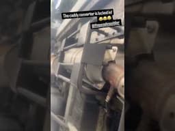 catalytic converter anti theft device