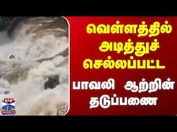 Kannur || வெள்ளத்தில் அடித்துச் செல்லப்பட்ட பாவலி ஆற்றின் தடுப்பணை...