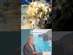 Hope for the Oceans