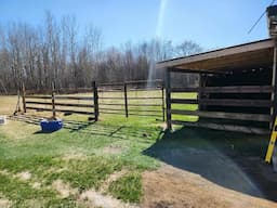 THE FARMHOUSE. Before The Tent. Building a feedlot for Festus. Farm chores. Opening fishing next.