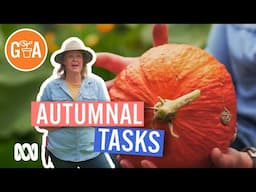 Autumn Jobs to Start NOW | Gardening Hacks | Gardening Australia