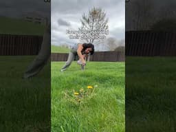 Did you know dandelions are considered a superfood!? #dandelions #planthealth