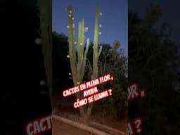 #cactus#flor#campo#rural#familia#familianumerosa#cambio#casa#hogar#plantas#vida#feliz