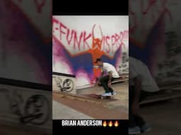 Brian Anderson stylin 🛹🔥🔥 #skateboarding #skateboardvibes #2025 #skate #steezyskateboarding
