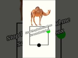 Viral video Camel Puzzle Game Solution #puzzlegame #gameplay #foryou #youtubeshorts
