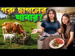 বাংলাদেশের গরু ছাগলও নাকি এইসব খাবার খায়না! | London Family Vlog