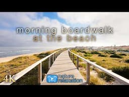 Scenic Virtual Coast Walk | 4K, 40min Ambient Nature Relaxation Film
