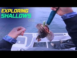 Lingcod were on the chew