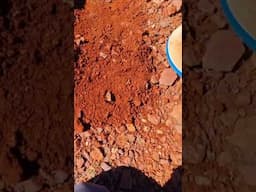 West Australian Gold Nugget