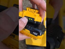 The only affordable Cordless Dethatcher!!