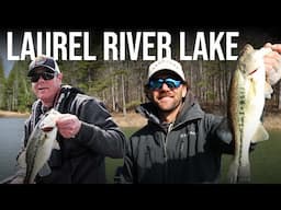 Black Bass with Pro Angler John Hunter | Laurel River Lake